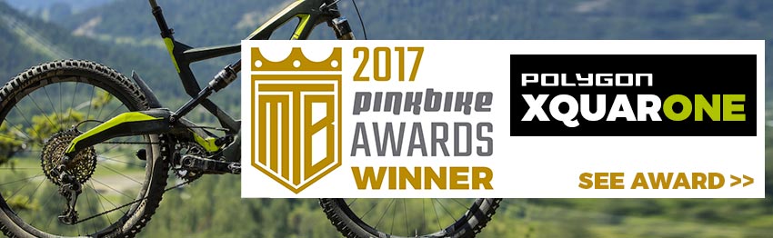 Pinkbike Awards Winner - Polygon XQUARONE